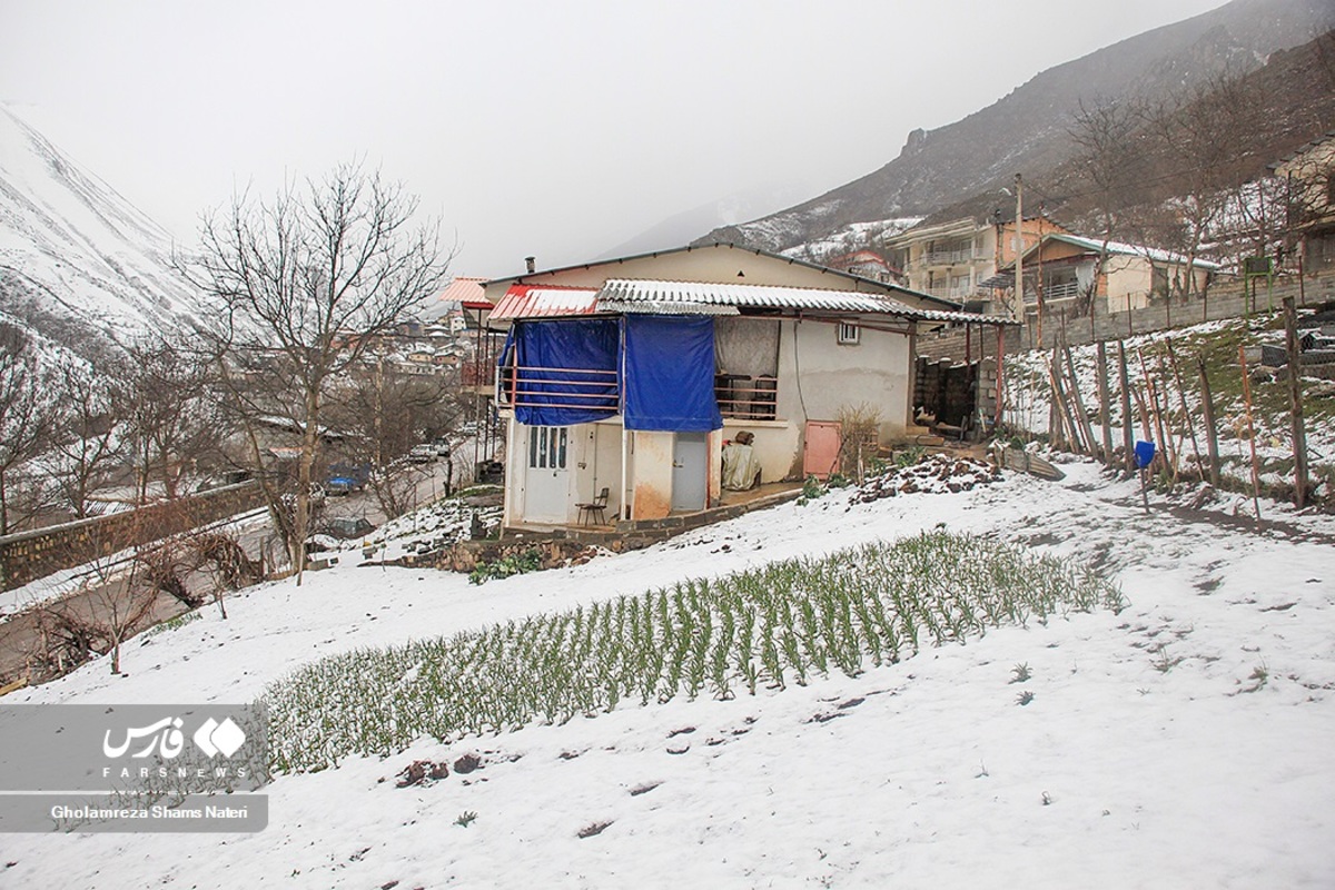 طبیعت گردی