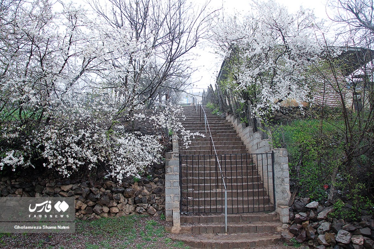 طبیعت گردی