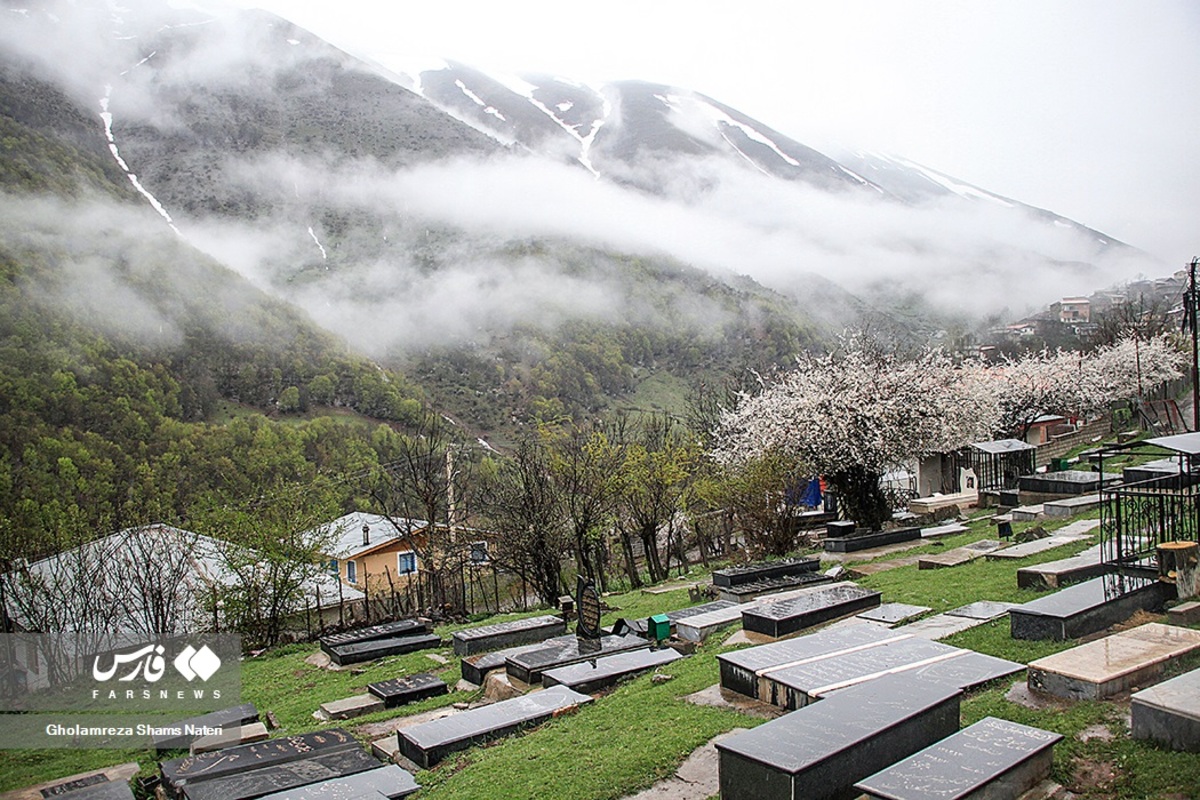 طبیعت گردی