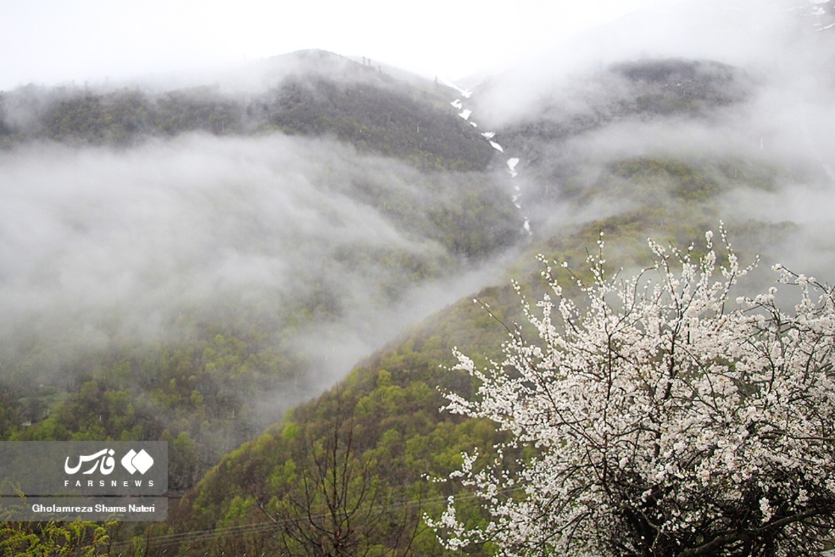 طبیعت گردی