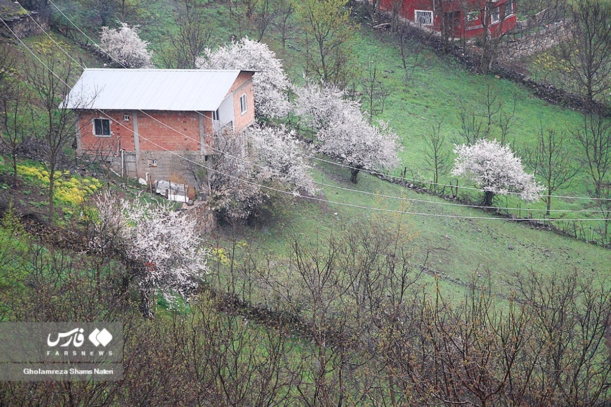 طبیعت گردی