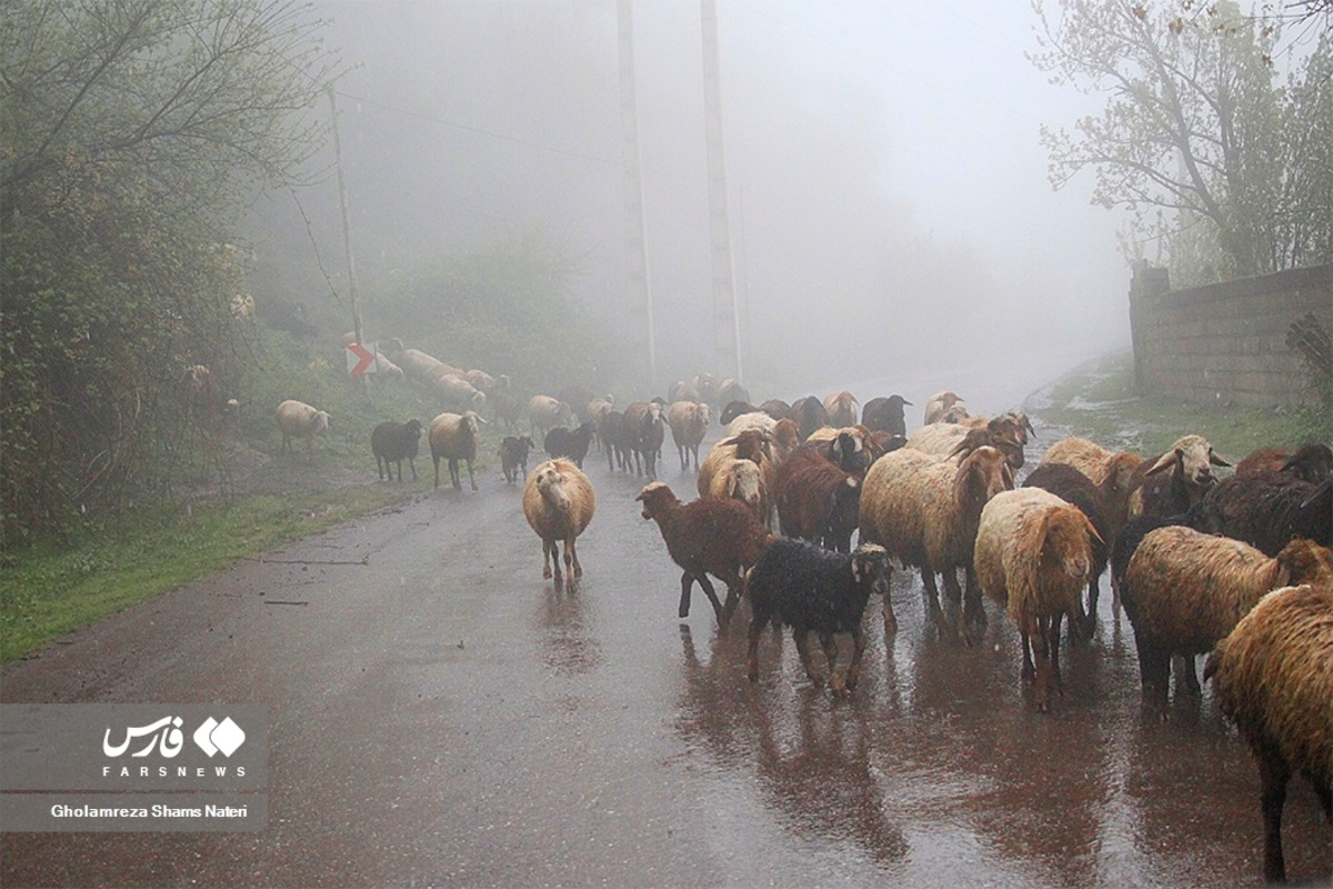 طبیعت گردی