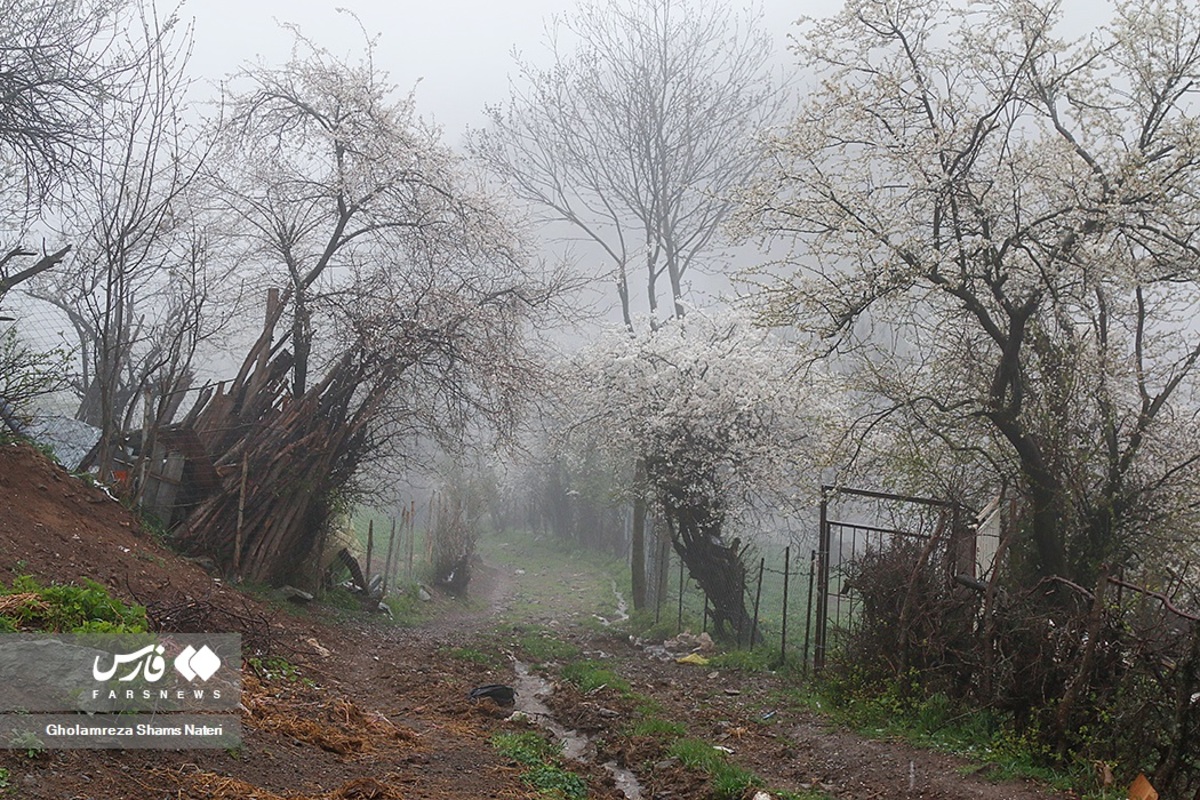 طبیعت گردی