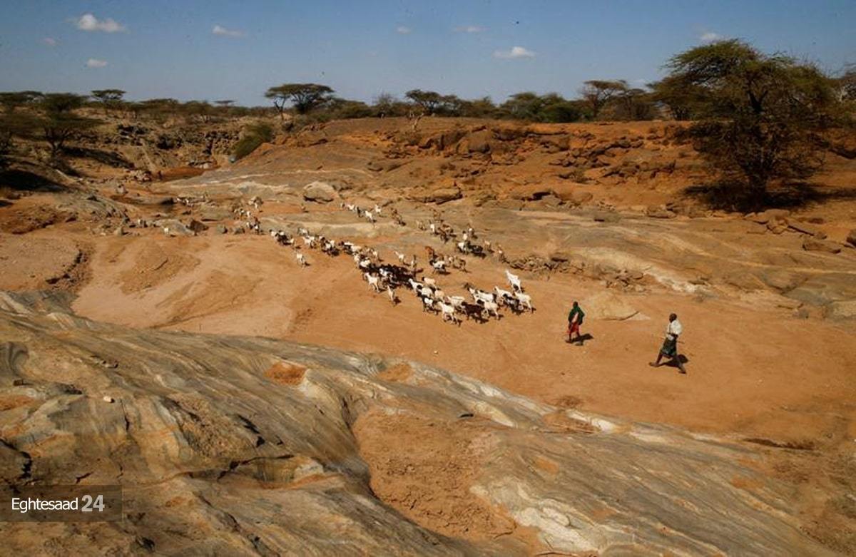 خشکسالی مرگبار در کنیا