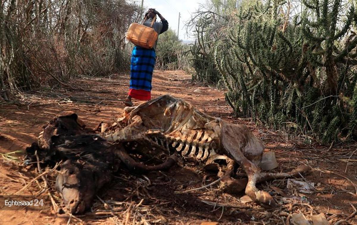 خشکسالی مرگبار در کنیا