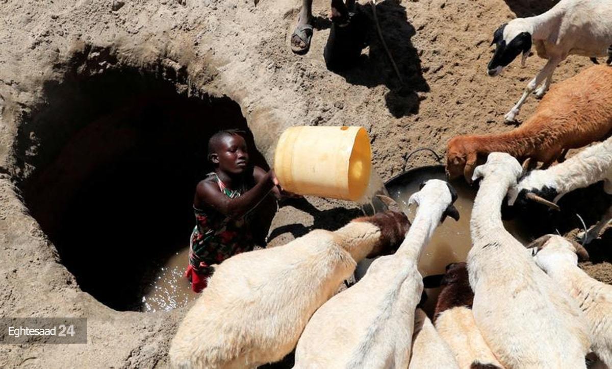 خشکسالی مرگبار در کنیا