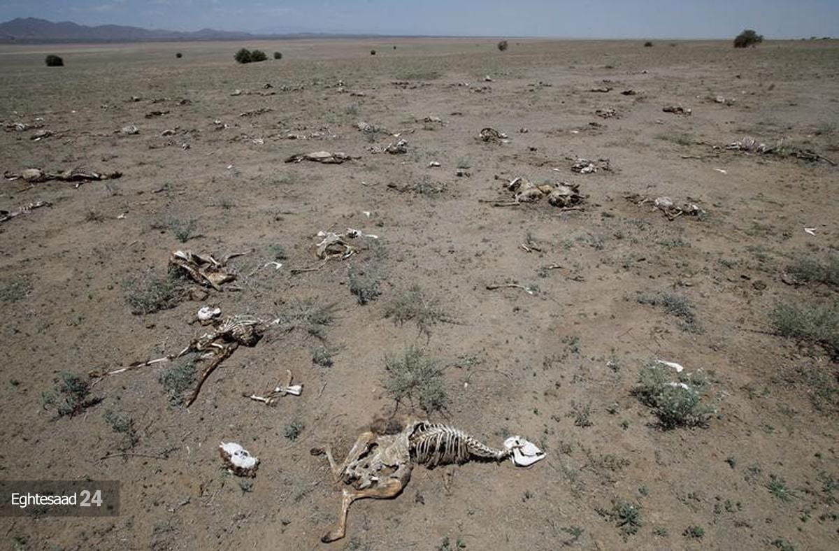 خشکسالی مرگبار در کنیا