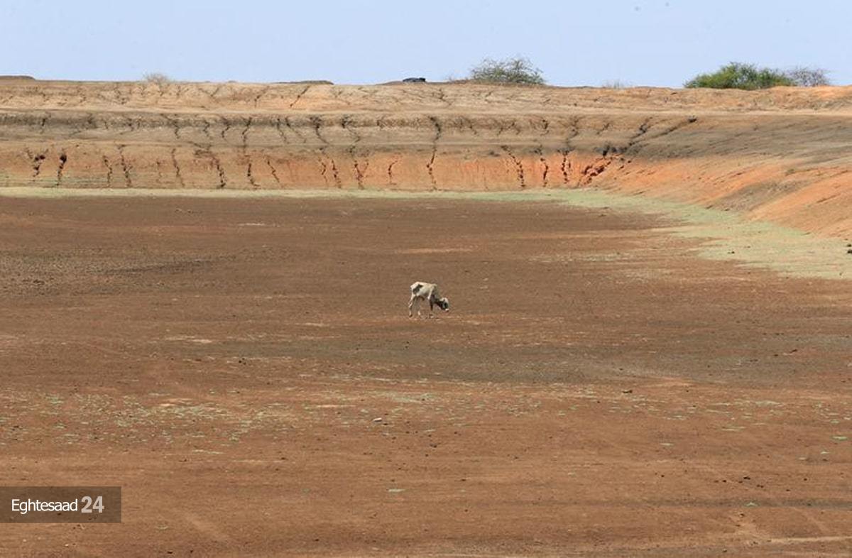 خشکسالی مرگبار در کنیا