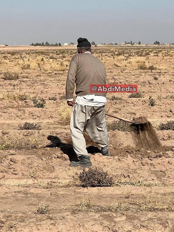 جدیدترین عکس‌های وزیر سابق جهاد کشاورزی که گویا کشاورز شده