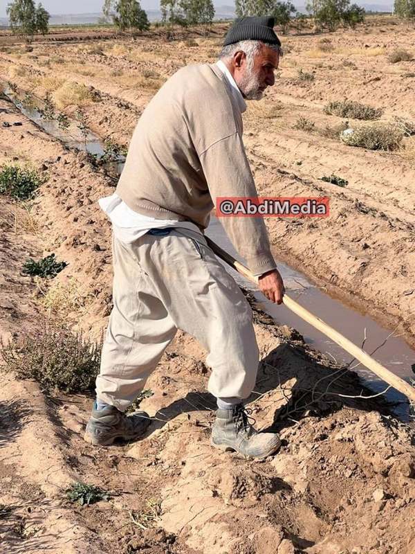 جدیدترین عکس‌های وزیر سابق جهاد کشاورزی که گویا کشاورز شده