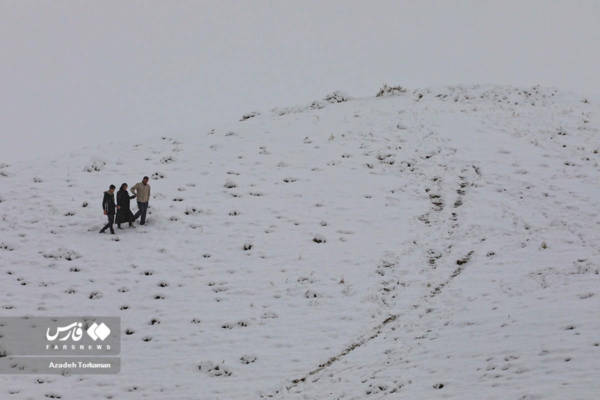 بارش شدید برف در پایتخت