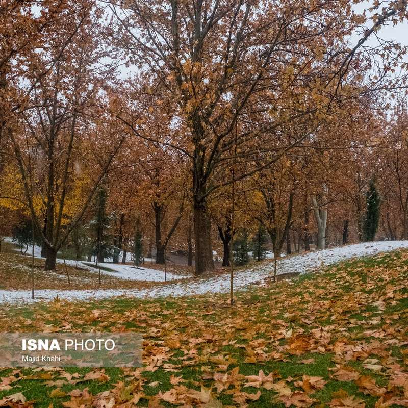 پاییز برفی تهران