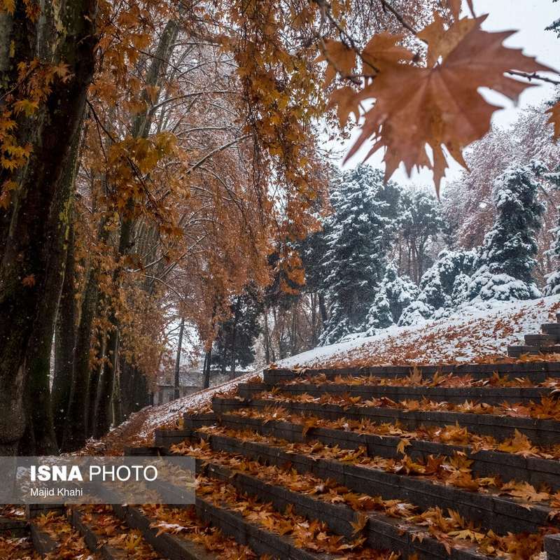 پاییز برفی تهران