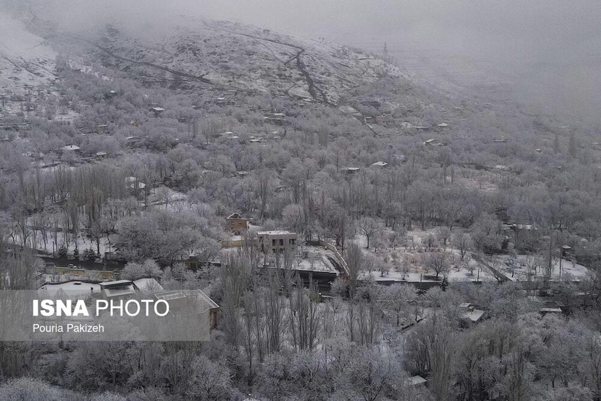 الوند سفیدپوش شد