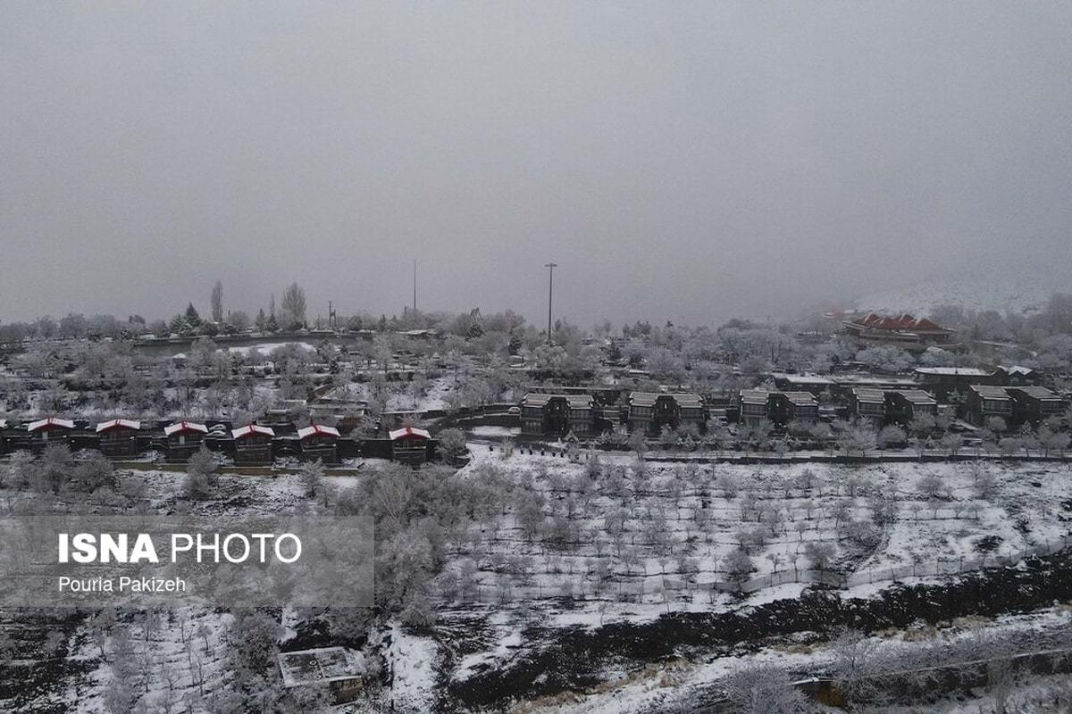 الوند سفیدپوش شد