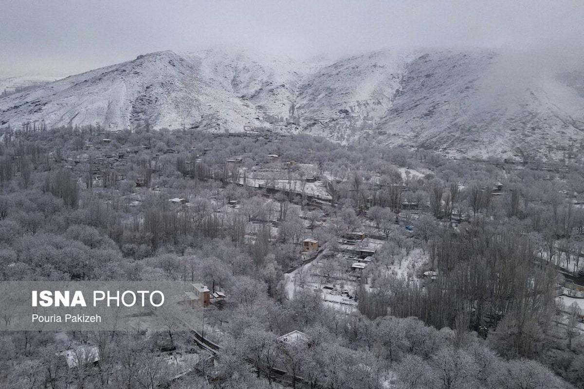 الوند سفیدپوش شد