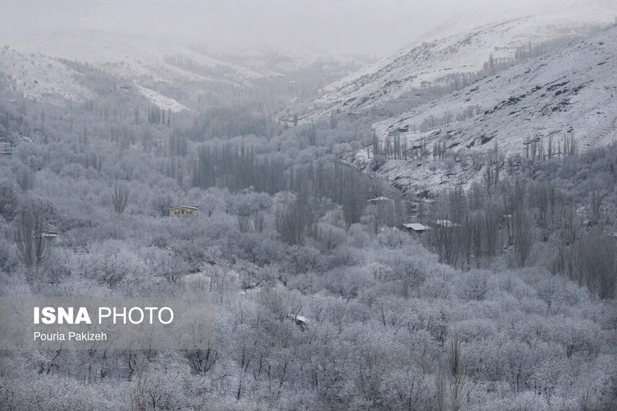 الوند سفیدپوش شد