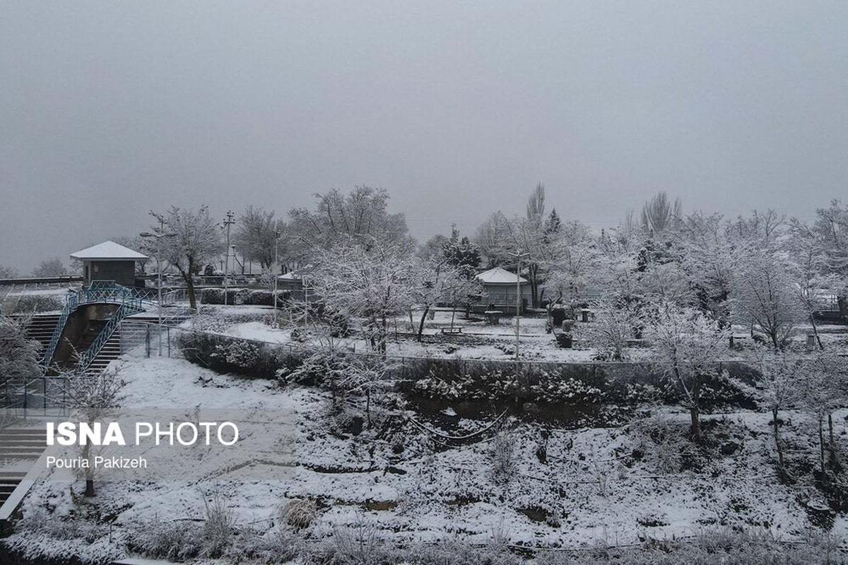 الوند سفیدپوش شد