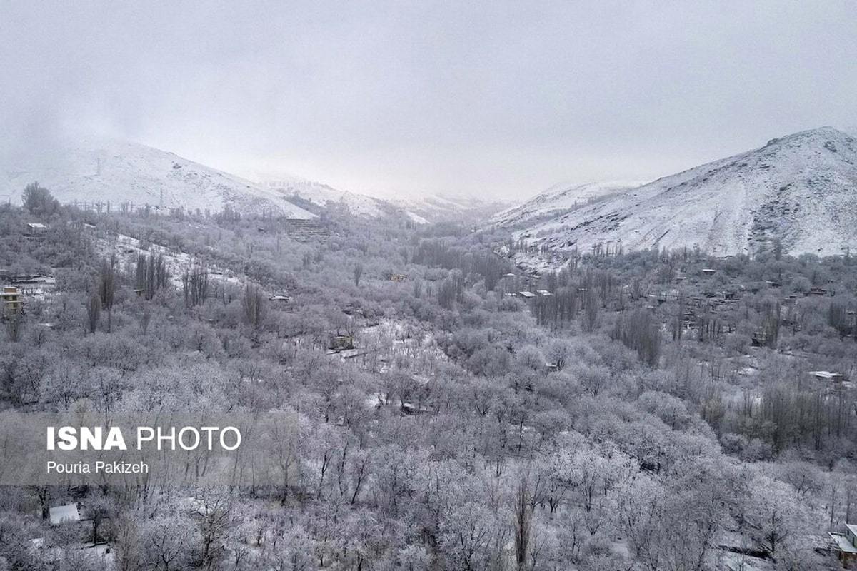 الوند سفیدپوش شد