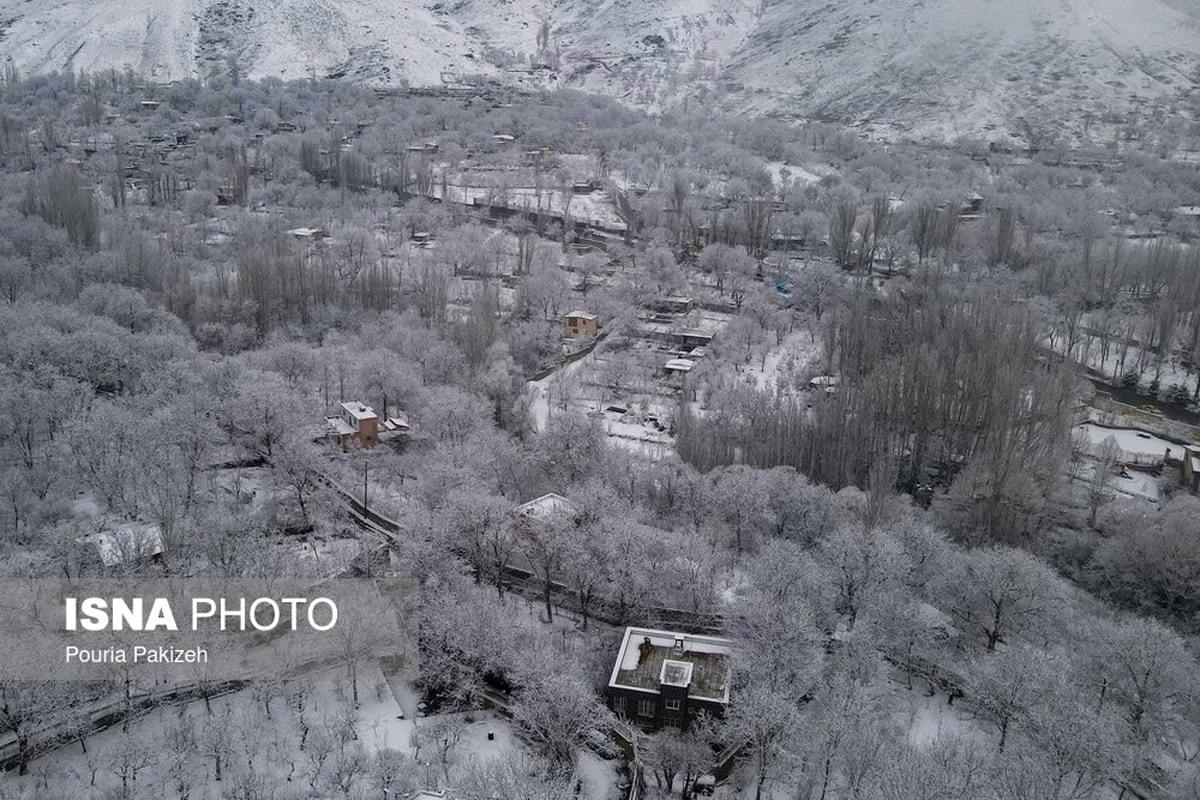 الوند سفیدپوش شد