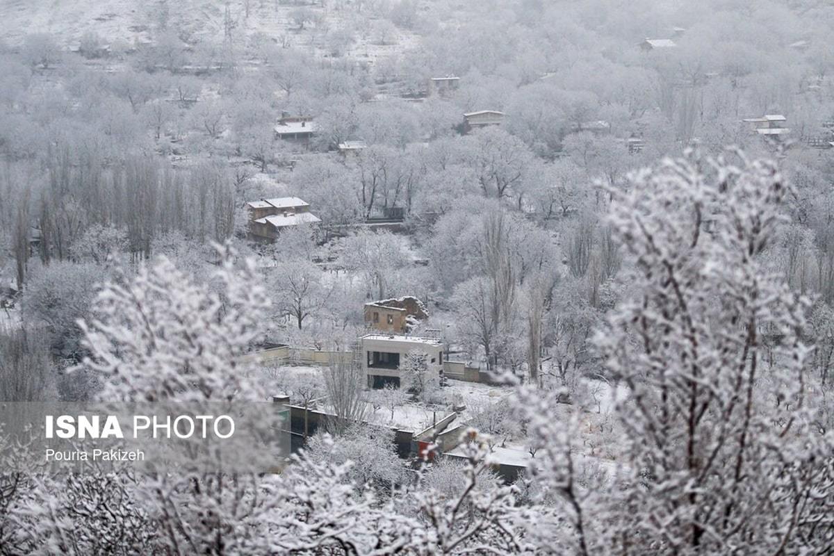 الوند سفیدپوش شد