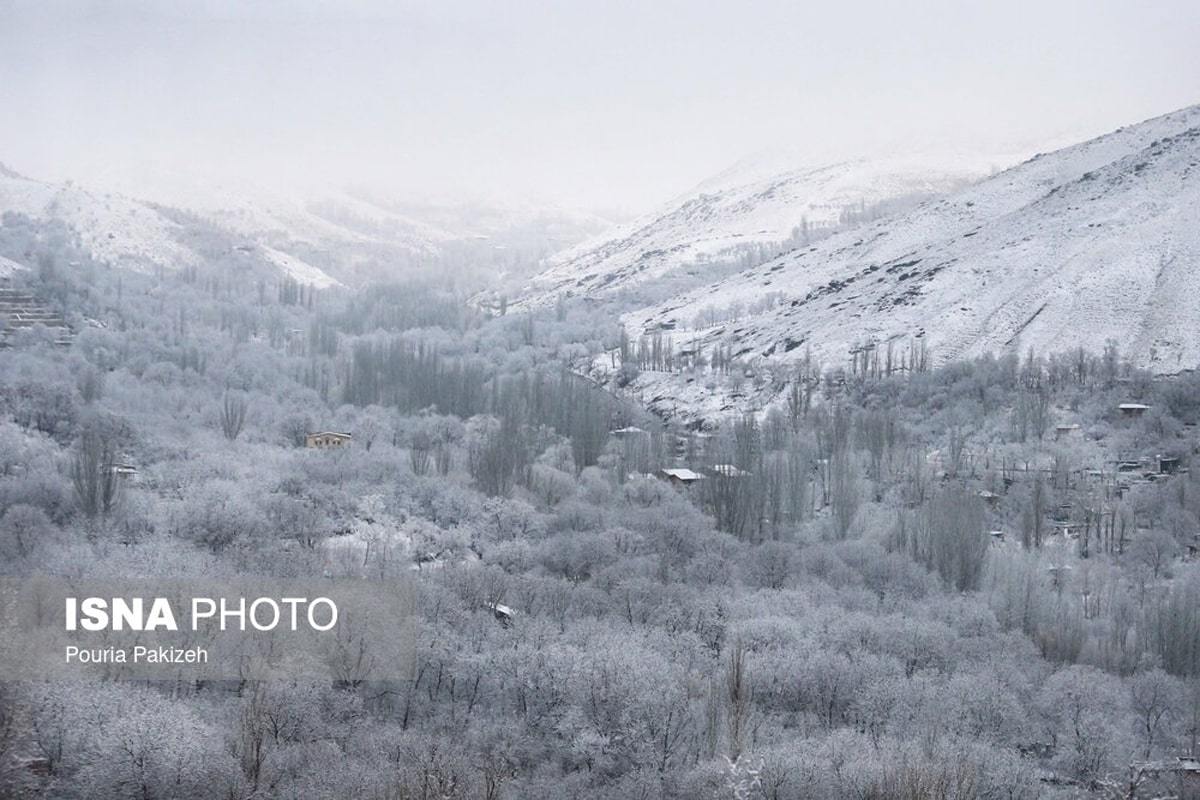 الوند سفیدپوش شد