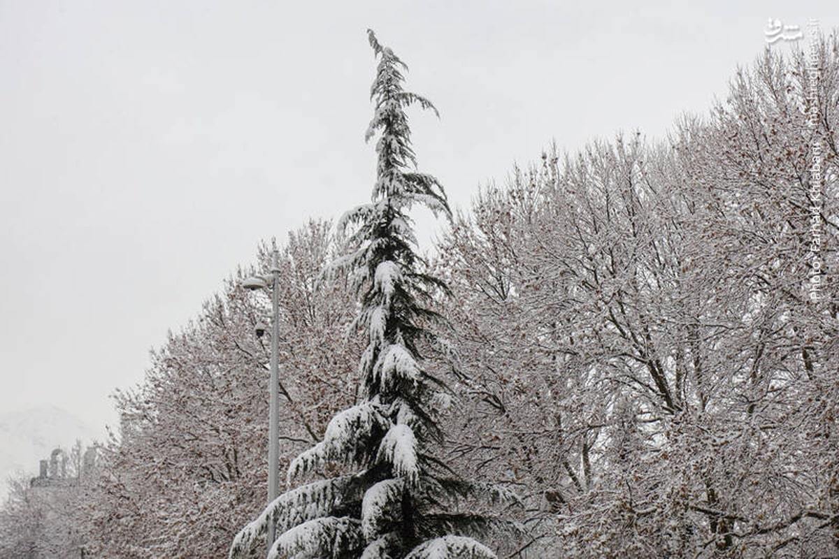 تهران سفیدپوش شد