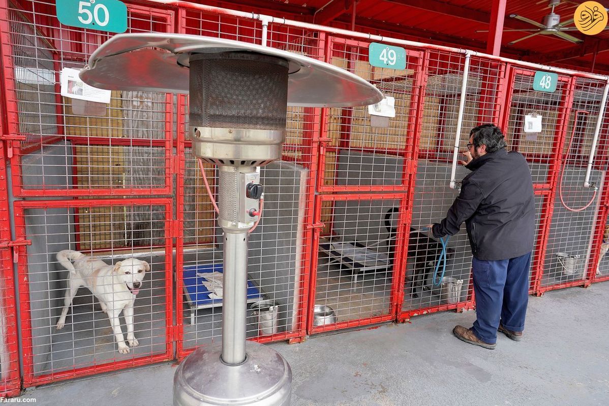 طوفان بزرگ زمستانی در آمریکا