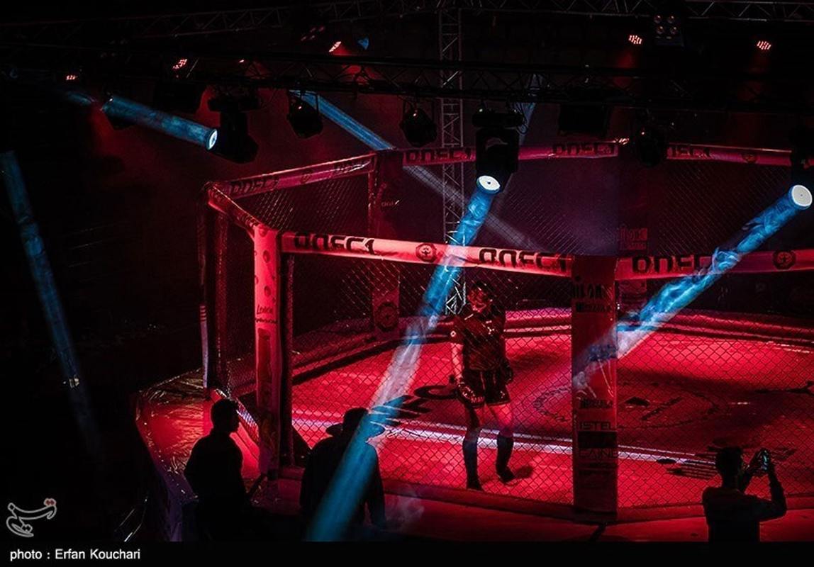 نخستین مبارزه در قفس در ایران