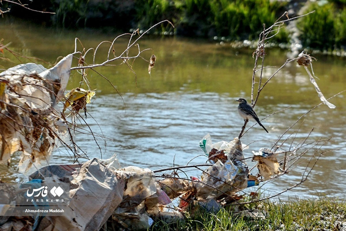 دریاچه مهارلو جان گرفت