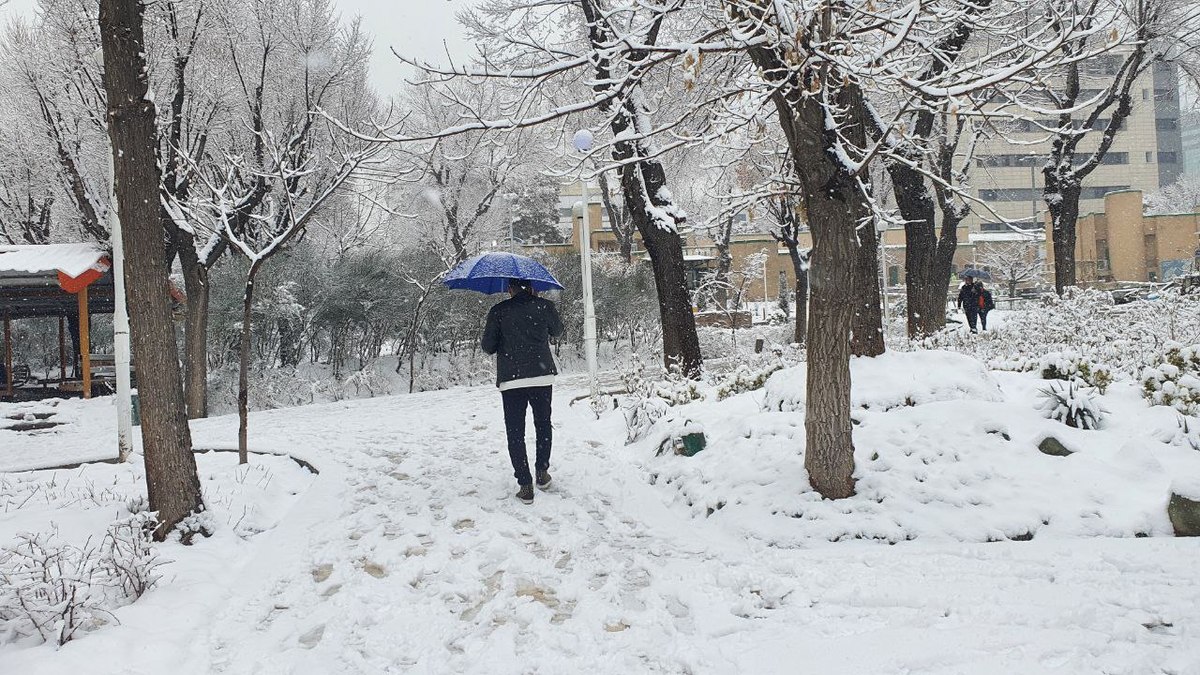 خیابان‌های تهران سفیدپوش شد