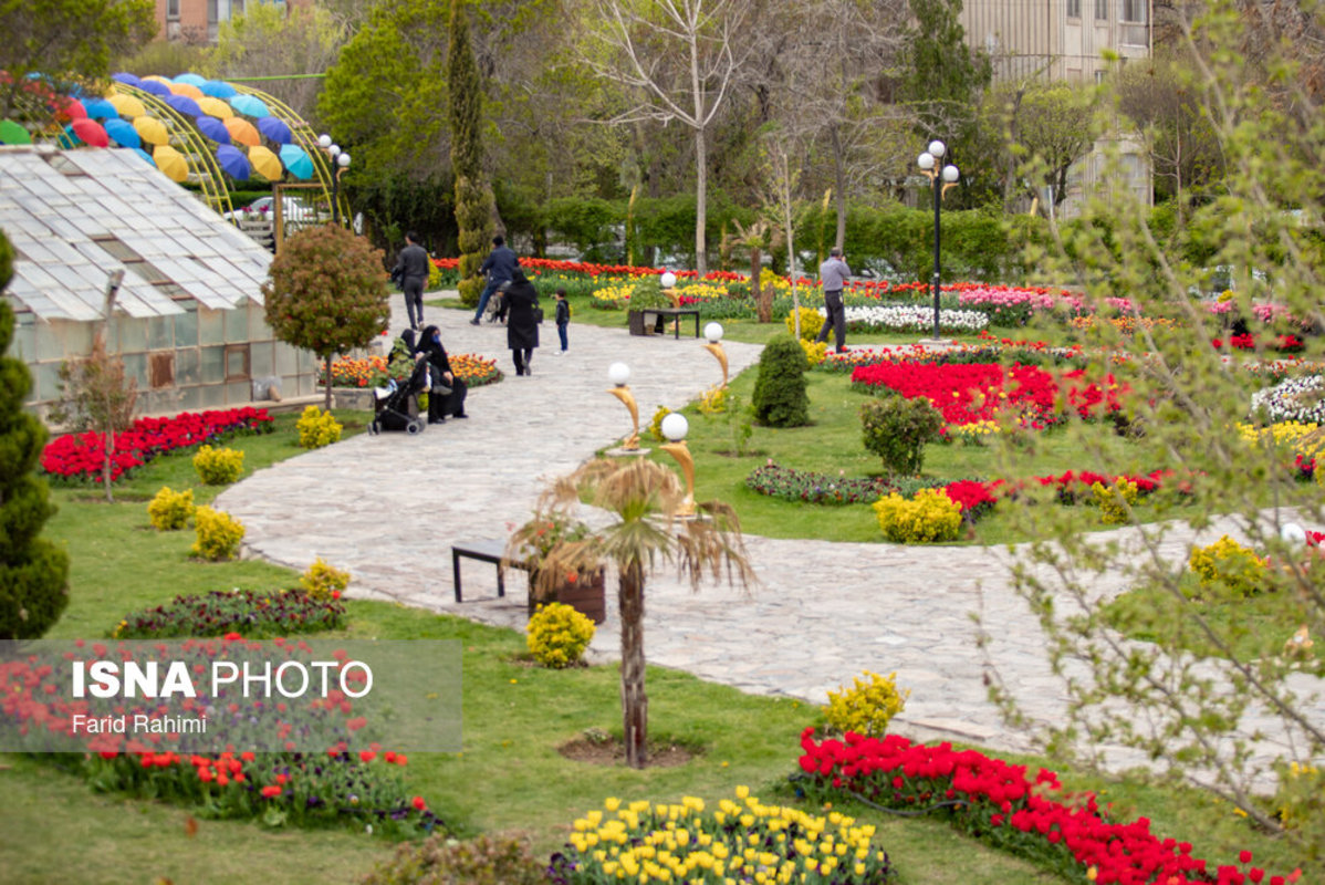 جشنواره گل های لاله در اراک