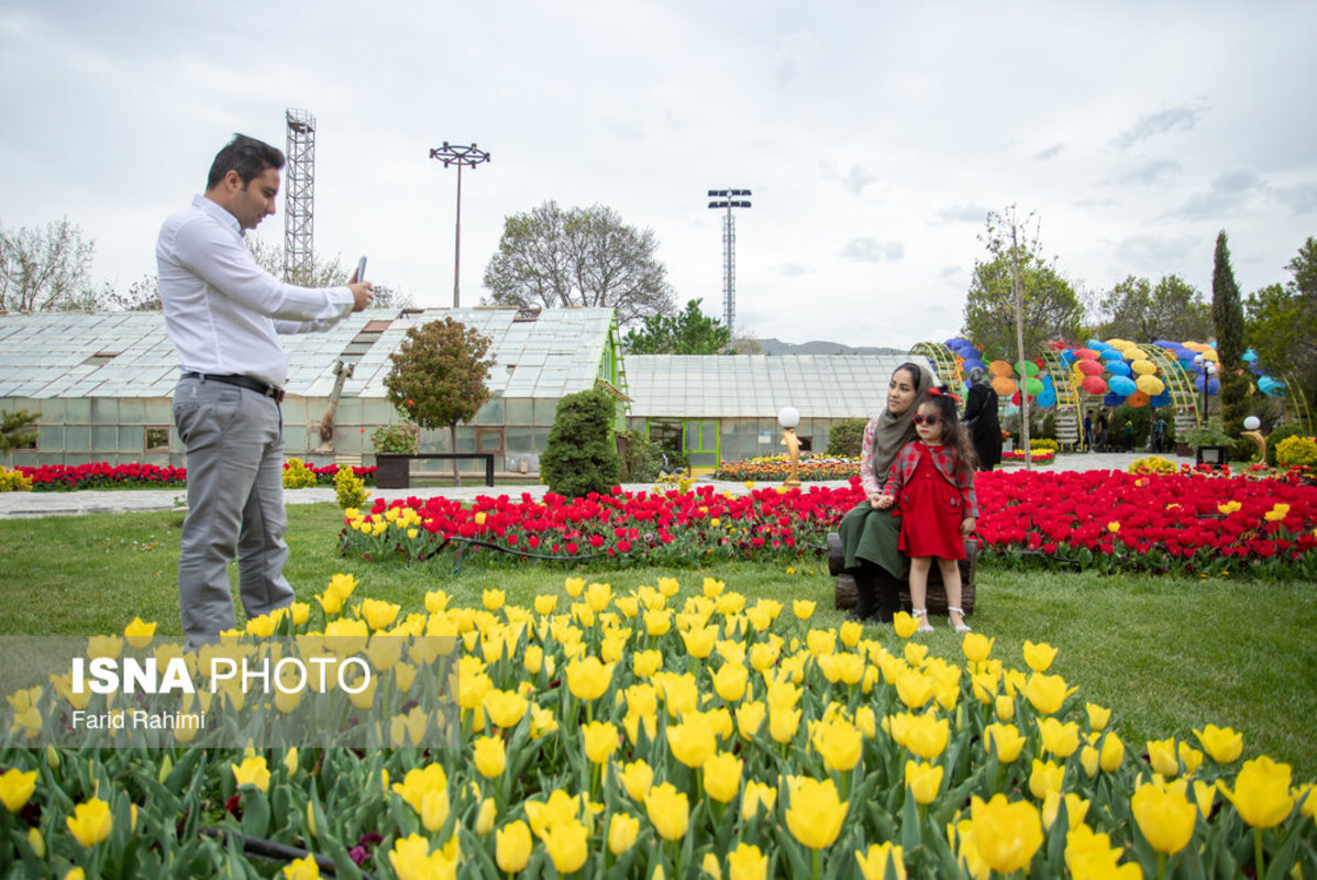 جشنواره گل های لاله در اراک