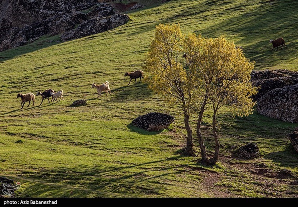 طبییعت بهاری منطقه کوهستانی هفت حوض - خرم آباد