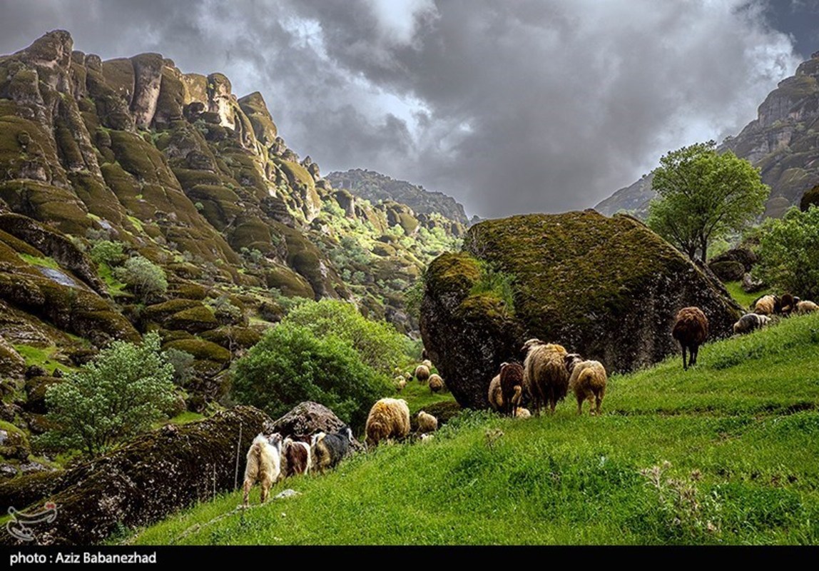 طبییعت بهاری منطقه کوهستانی هفت حوض - خرم آباد