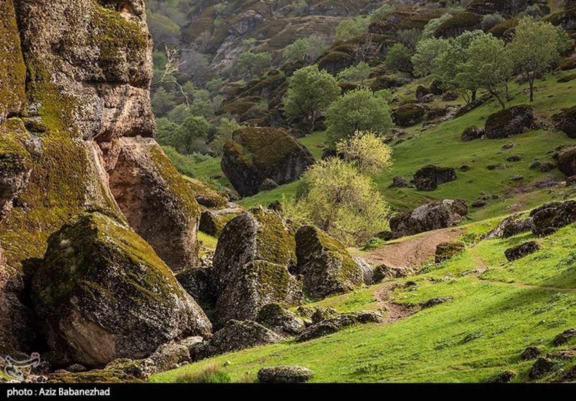 طبییعت بهاری منطقه کوهستانی هفت حوض - خرم آباد