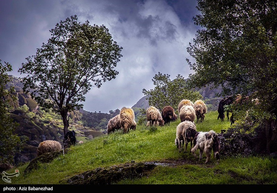 طبییعت بهاری منطقه کوهستانی هفت حوض - خرم آباد