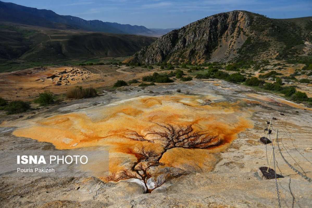 باداب سورت در مازندران