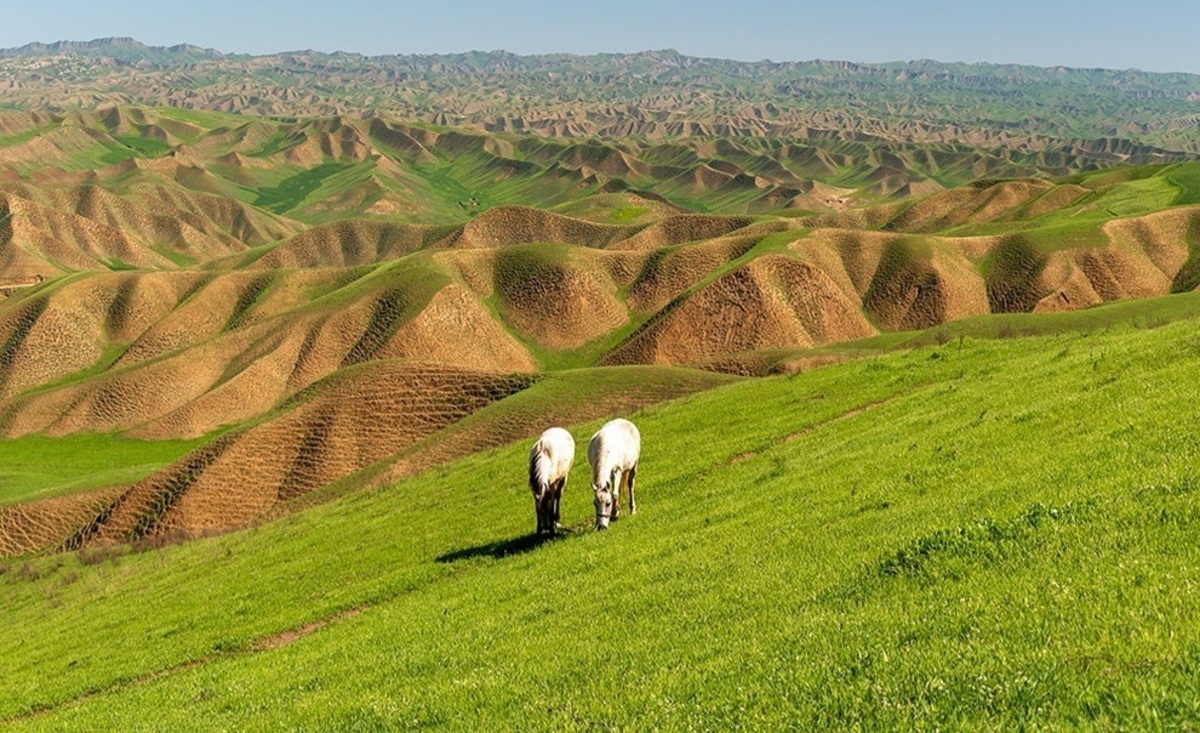 خشکسالی در ترکمن صحرا