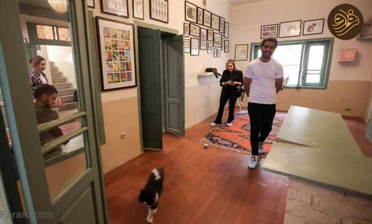 گزارش رسانه خارجی از موزه گربه‌ها در تهران