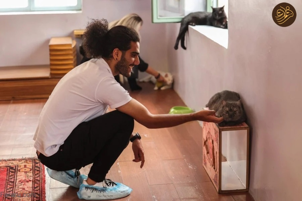 گزارش رسانه خارجی از موزه گربه‌ها در تهران