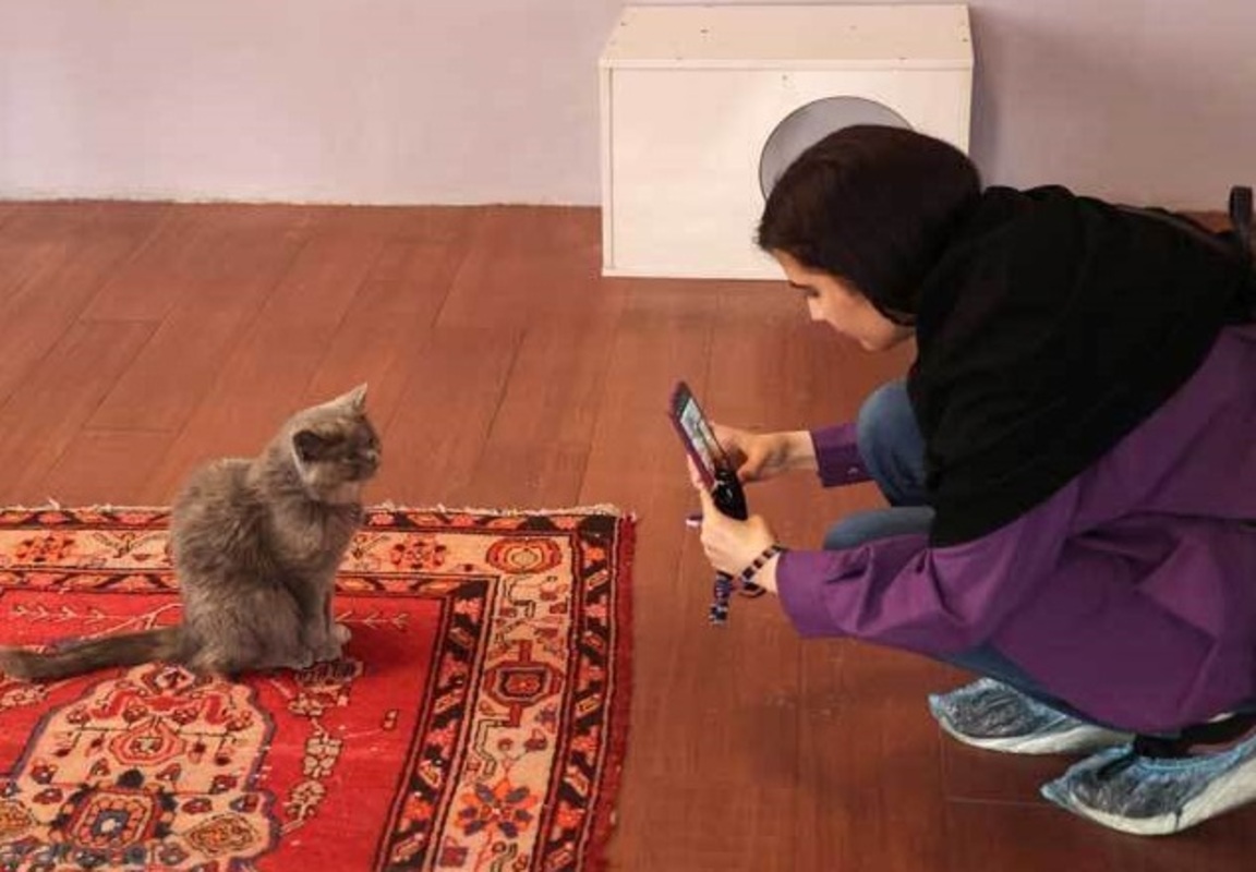 گزارش رسانه خارجی از موزه گربه‌ها در تهران