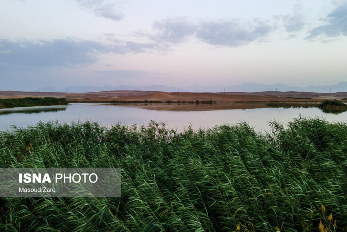 جاذبه‌ای غیر طبیعی در دل کویر