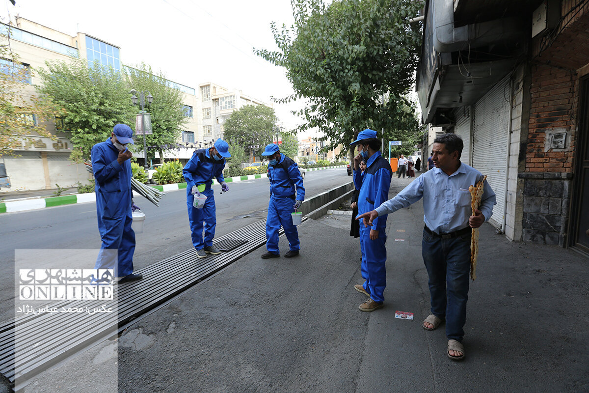 جنگ تن به تن با موش‌های تهران