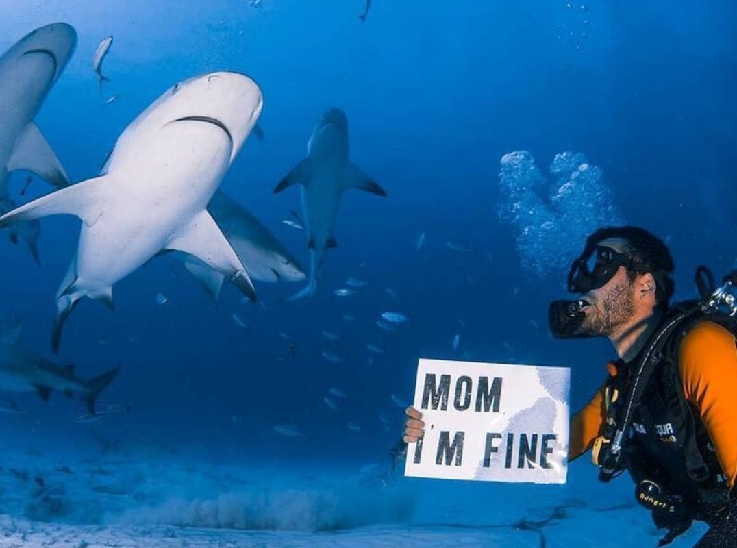 عکس‌های خنده‌دار یک جهانگرد با تابلوی «مامان، من خوبم»
