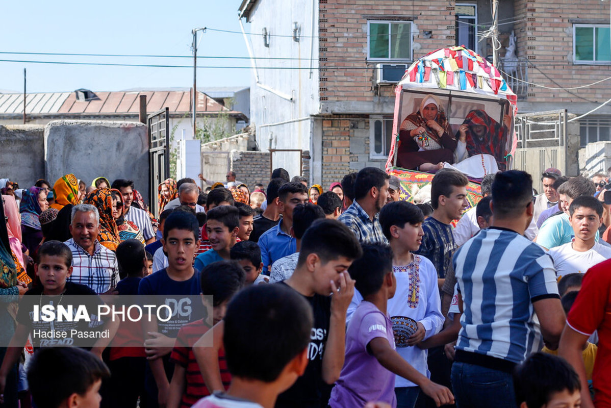 کُجاوه در جشن عروسی ترکمن‌ها