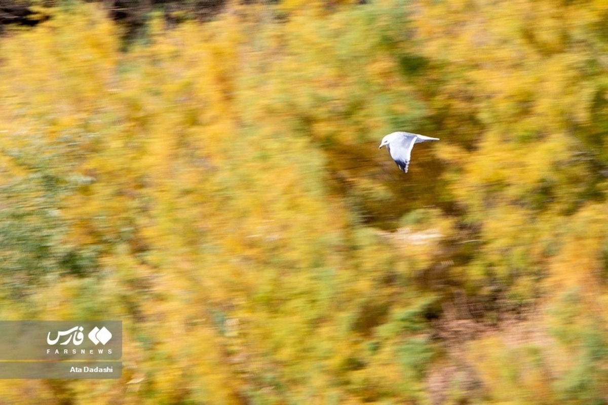 اَرَس، طولانی‌ترین رود ایران