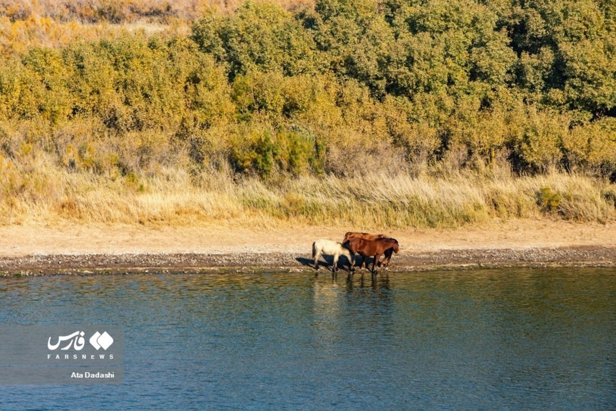 اَرَس، طولانی‌ترین رود ایران