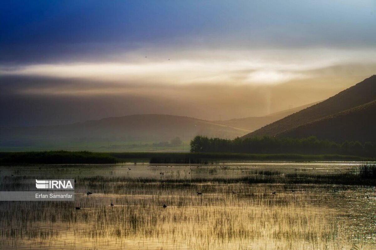 تالاب بین المللی گندمان