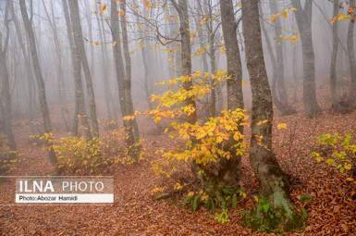  پاییز زیبای روستای داماش در شهرستان رودبار